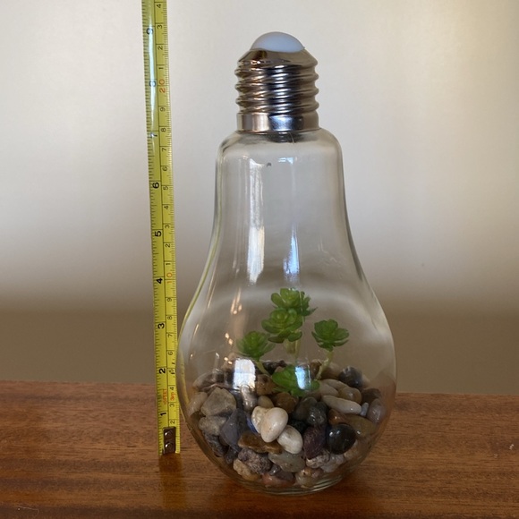 Imitation plant in light Bulb Press top for light  Takes a 3v bulb - Picture 7 of 10